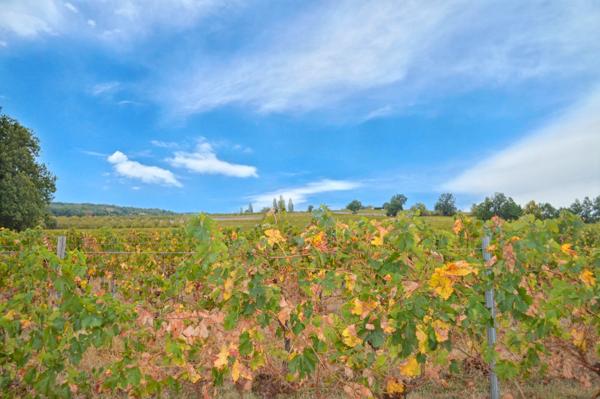 Commerce à vendre à Duras (47120) - Lot-et-Garonne