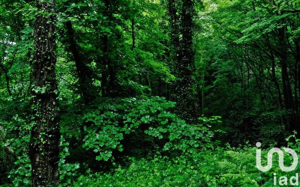 Terrain à vendre 10 388 m² Bonnefont