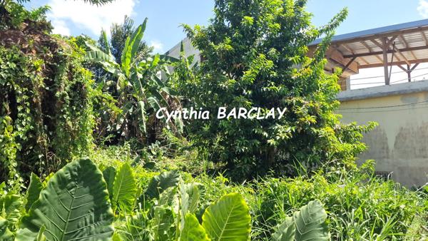 Terrain à SAINT ESPRIT (97270)