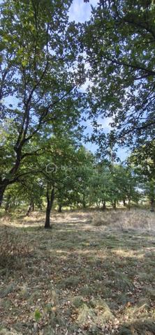 Terrain constructible de 1408 m2 au calme et boisé à Saint-Nauphary, situé à 10 minutes de Montauban, 5 minutes accès rocade, autoroute et proche de toutes commodités (Ecole, boucherie, coiffeur, boulangerie, petit supermarché, pharmacie, etc...) ce terrain vous offrira un environnement calme et champêtre, à visiter sans tarder !

PRIX H.A.I. : 111600 €

Contactez votre conseiller BSK Immobilier :
PIERLOT Corentin - Agent commercial immatriculé au RSAC d'Albi sous le numéro 521641936.

INFORMATIONS ET VISITES : 0621220824