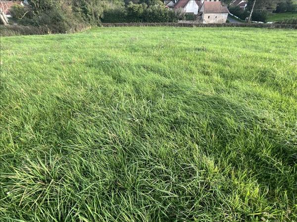 Terrain à vendre |  Vaux |  1774 m²