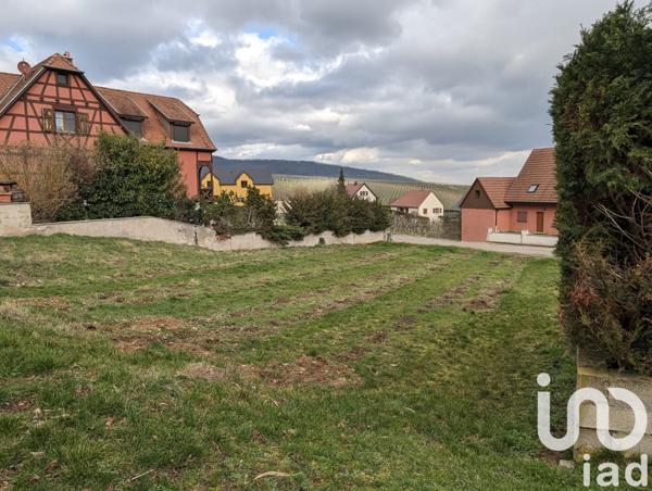 Terrain à vendre 626 m² Rorschwihr