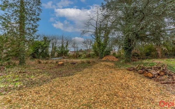 Terrain à vendre    Ollainville