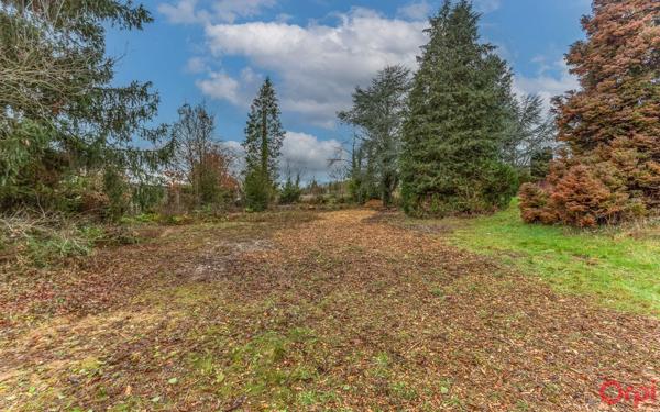 Terrain à vendre    Ollainville