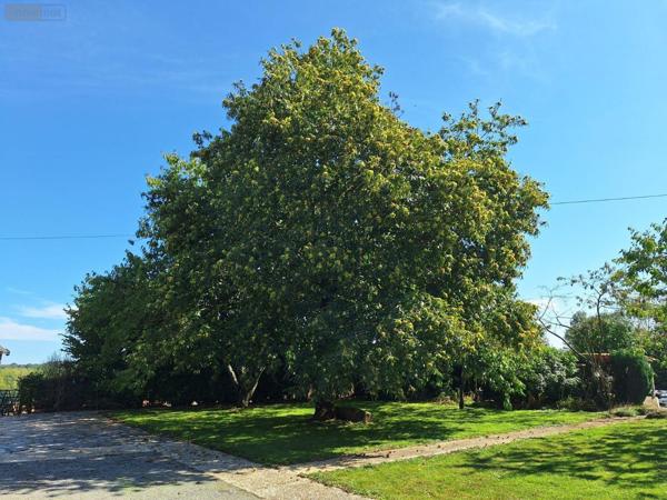 Maison rurale à vendre à Saint-Denis-de-Gastines en Mayenne (53500), ref : 53077-8