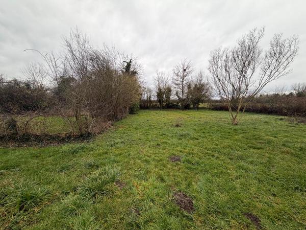 Maison avec potentiel à Challuy