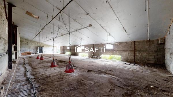 Ancienne ferme avec dépendances sur 1,5 ha