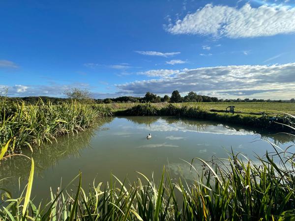 Corps de ferme - 125 m² - Nouans Les Fontaines