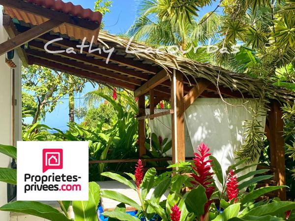 URGENT- Belle Villa  familiale + T3, piscine et jacuzzi - Bouillante