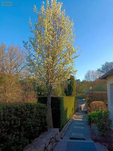Achat - Maison Saint-Philibert 56470 5 pièces 154 m 2 732 m 2