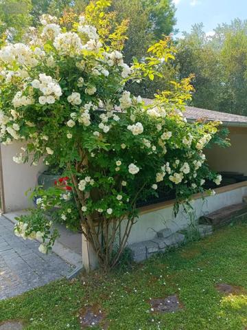 Achat - Maison Saint-Philibert 56470 5 pièces 154 m 2 732 m 2