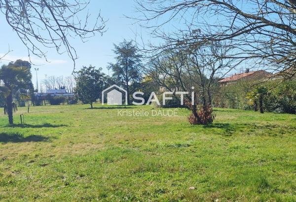 Écoles, commerces à proximité