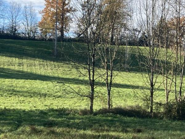 Terrain à vendre |  Meyssac |  6950 m²