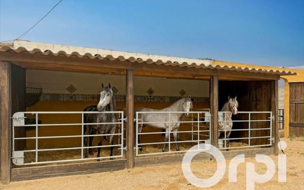 Maison à vendre    2 pièces • 75,51 m2 Aimargues
