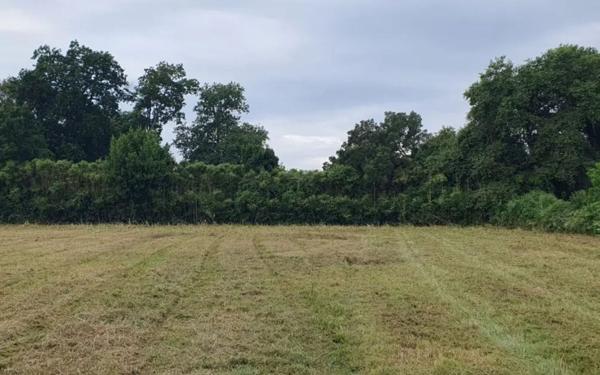 Appartement à vendre    3 pièces •  Bénesse-Maremne