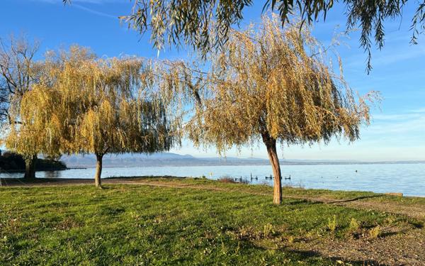 Appartement à vendre    3 pièces • 57,86 m2 Sciez