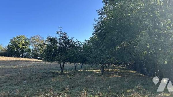 Terrain de loisirs 5/10 min CHATEAU-GONTIER