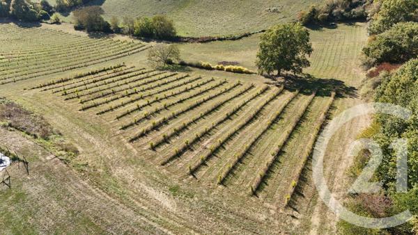 Maison à vendre  5 pièces - 148 m2 MONTAUBAN - 82