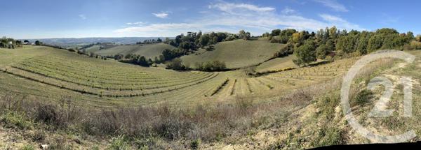 Maison à vendre  5 pièces - 148 m2 MONTAUBAN - 82