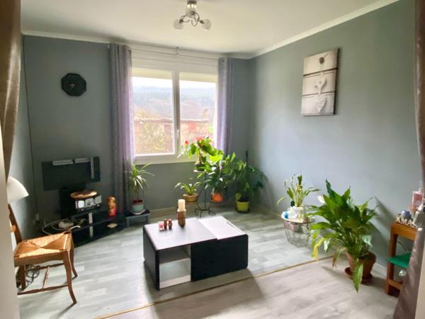 maison avec garage et terrain attenant