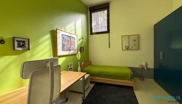 Splendide Loft proche Lyon 06