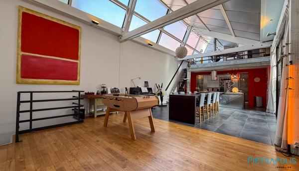 Splendide Loft proche Lyon 06
