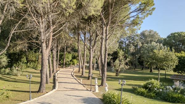 Mas Arles - ALPILLES