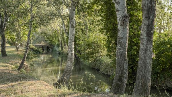 Mas Arles - ALPILLES