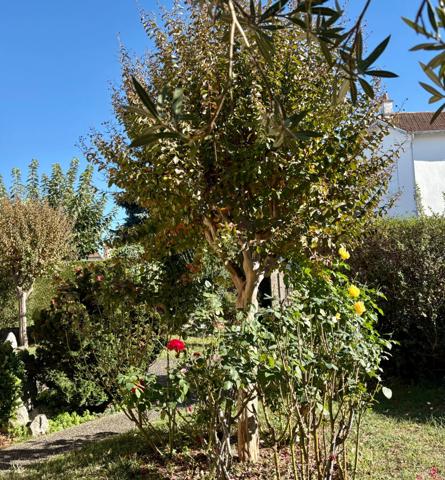 Maison à vendre 5 pièces AUREILHAN (65)