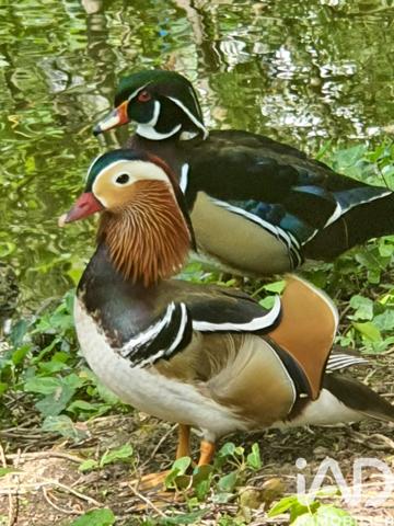 Appartement à vendre 4 pièces 84 m² Joué-lès-Tours