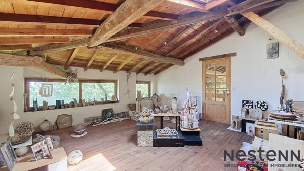 A vendre Ancien corps de ferme rénové composé de deux maisons T6 avec vue imprenable sur les Pyrénées secteur Carbonne !