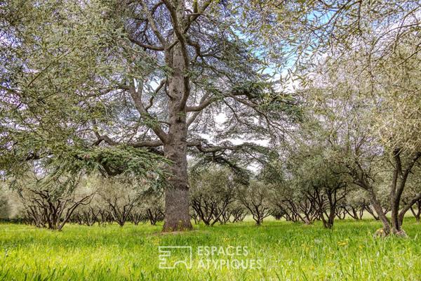 Bastide de caractère et domaine naturel préservé