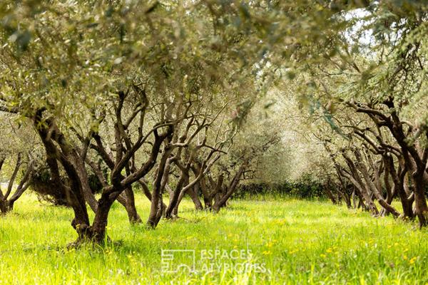Bastide de caractère et domaine naturel préservé