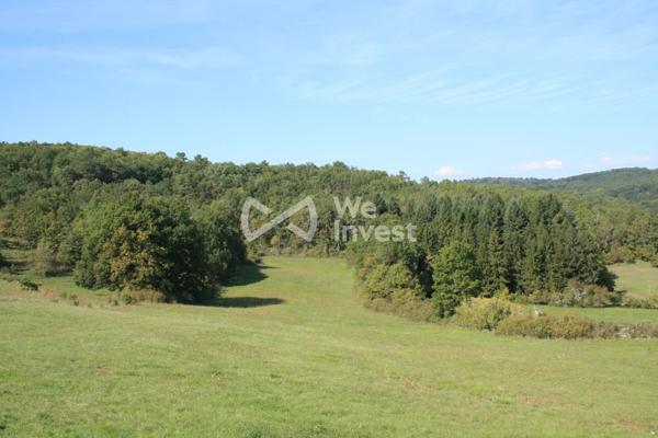 Maison Quercynoise sur 5 Hectares
