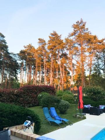 Havre de paix moderne en Sologne