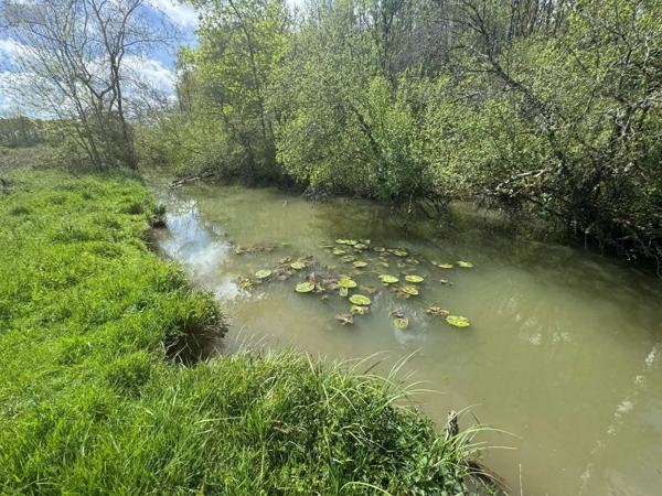 Achat - Terrain de loisirs, bois, étangs Tauxigny-Saint-Bauld 37310 14100 m 2