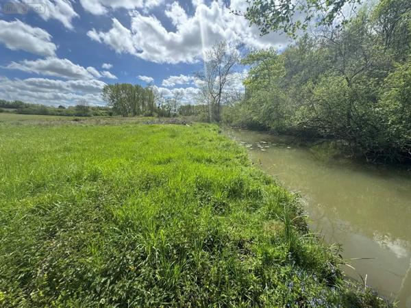Achat - Terrain de loisirs, bois, étangs Tauxigny-Saint-Bauld 37310 14100 m 2