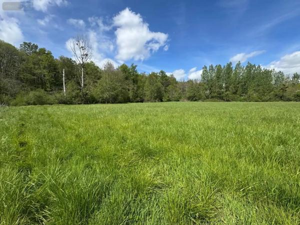 Achat - Terrain de loisirs, bois, étangs Tauxigny-Saint-Bauld 37310 14100 m 2