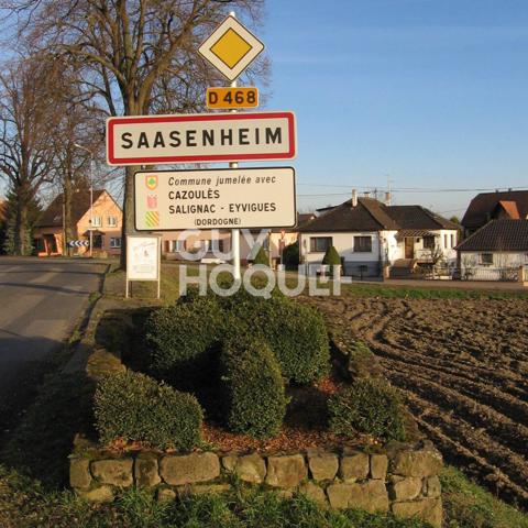 Terrain bonne situation SAASENHEIM libre d'architecte 5,23 ares.