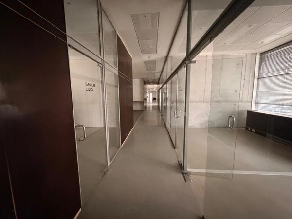 Local/bureaux au RDC à louer LYON 7EME (69), d'une surface de 533 m² environ dont 158m2 à l’étage, avec en option potentielle 3 places de parking et 4 garages en sous-sol.