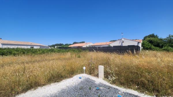Terrain