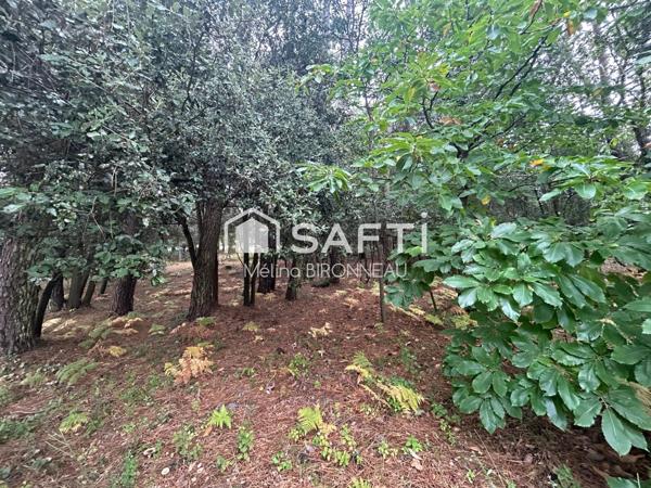 Opportunité rare à ne pas manquer