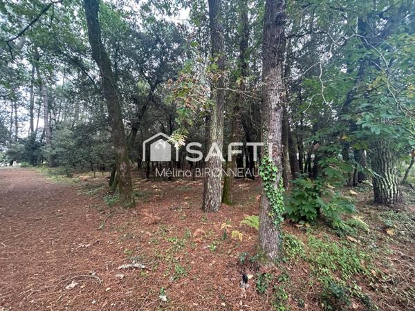 Opportunité rare à ne pas manquer