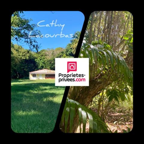 Terrain viabilisé 10000 m2 constructible accès littoral- Pointe Noire -Guadeloupe