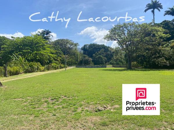 Terrain viabilisé 10000 m2 constructible accès littoral- Pointe Noire -Guadeloupe