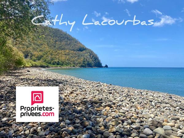 Terrain viabilisé 10000 m2 constructible accès littoral- Pointe Noire -Guadeloupe