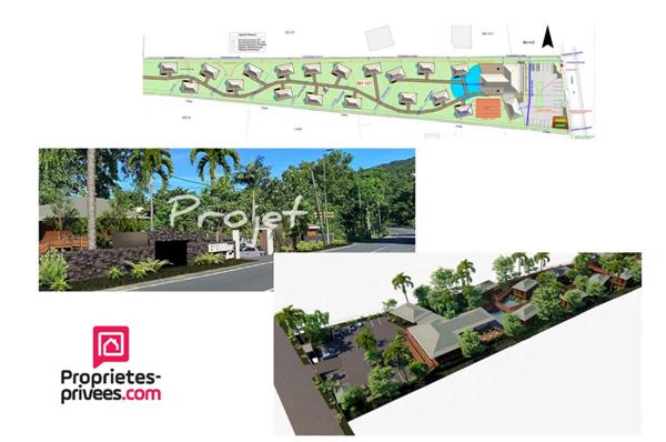 Terrain viabilisé 10000 m2 constructible accès littoral- Pointe Noire -Guadeloupe