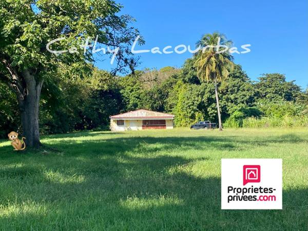 Terrain viabilisé 10000 m2 constructible accès littoral- Pointe Noire -Guadeloupe