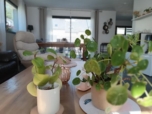 Maison à vendre à Saint-Avé de 4 chambres idéalement placée dans un environnement prisé