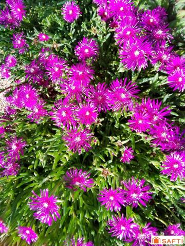 Maison de plain pied, belles prestations